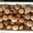 선우농장3 이미지