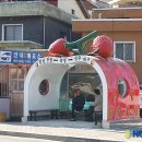 군청앞버스승강장 이미지