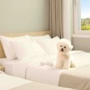 ㈜한화리조트 이미지