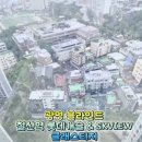 티지테라