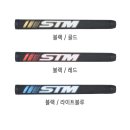 에스티엠(STM) 이미지