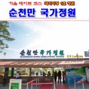 남승룡로 | 순천여행 - 국가정원 1호 순천만 국가정원(가을 데이트 코스)