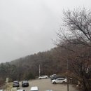 봉수산숲펜션 | 충남 예산 봉수산 숲정원 펜션 예당호 뷰 숙소