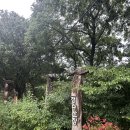 경남 산청 정수산장펜션&amp;캠핑 콤마나인테이블, 미니맥스 타닥, 키친툴, 캠핑 후기