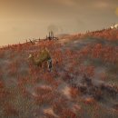 그린종합동물병원 이미지