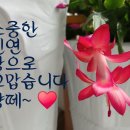 그계절