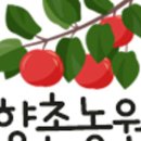 이제사과농원 이미지