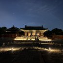 서울 야경 명소 추천 | 2026 창경궁 야간개장 물빛연화 후기