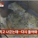 카페서 이미지
