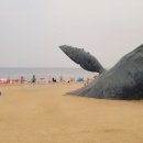 (주)태산국제 이미지