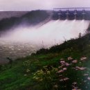 막걸리카페 이미지