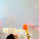 🌈무지개반 7월 1주 xr활동🌈 이미지