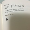 인셀덤미