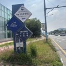 [부산 을숙도] 낙동강 생태탐방선 위치, 가격, 예매 방법 및 내돈내산 솔직 후기 사하구 을숙도...