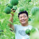 농업회사법인초록농장주식회사 네이버블로그