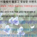 미첼헤어 이미지