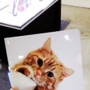 청림동물병원 이미지