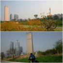 서울시 자전거 희소식! (여의도에서 빌리고 아라뱃길에서 교차반납 가능) 3월 1일부터 이미지