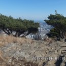 달음산자연휴양림 Daum카페