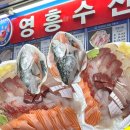 22-C | 가락시장 영흥수산 수산시장 대방어모듬회 C 22 솔직한 후기