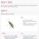그린존시스템