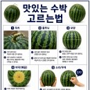 장사마트
