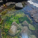 고산엉알 이미지