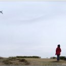 대성동고분박물관 이미지