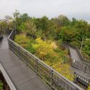 영축산 순환산책로 이미지