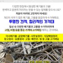 효림종합스포츠