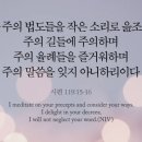 (주)쉐마 네이버블로그