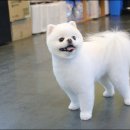 멍했냥 평택본점 이미지