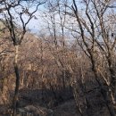 조경기능사 자격과정(이론) 이미지