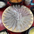 개미작은도서관 | 대구북구청 고성동맛집 스끼다시 많이 주는 가성비 좋은 개미수산