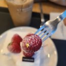 투썸플레이스목감점 이미지
