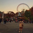 11.03 일상 - 🎡 이미지