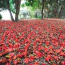 고성-고성-01-비-01 이미지