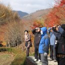 경북수목원과 강구 대게(11월14일) 이미지