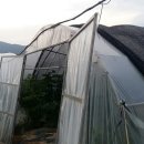 생곡리농장 이미지