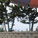 큰들마당극마을민박1호 | [ 강원도 삼척 ] 장호어촌체험마을 , 장호해수욕장 , 문암해변, 초곡항 (2013.07.27-2013.07.29)