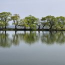 남산면내 이미지