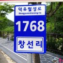 분설담화장실 이미지