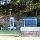 부여(홍산)-11 이미지