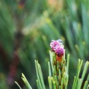 안곡습지공원 화장실 이미지