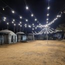 둔터로 | 충북 충주 애견동반 펜션 펫트리파크 글램핑장 숙소 내돈내산 후기