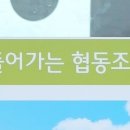 홍성한우클러스터사업단 이미지