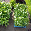 종원농장 이미지