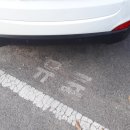 크린토피아창전