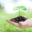 지평태양광발전소 이미지