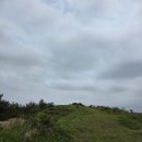 주)이랜드레저비스 켄싱턴리조트제주 | 2025 제주 아르떼뮤지엄, 산방산용머리 트랙킹, 애슐리퀸즈 서귀포점, 제주뷰하늘 오름코스, 제주올레...